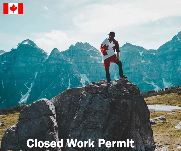 الزامات حیاتی کارفرمایان هنگام ارائه جاب آفر در کانادا