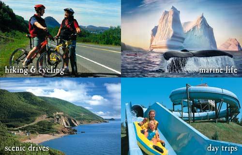 canada torist canada torist