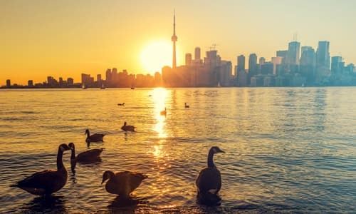 toronto-ontario-ganji-2020 toronto-ontario-ganji-2020